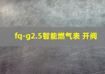 fq-g2.5智能燃气表 开阀